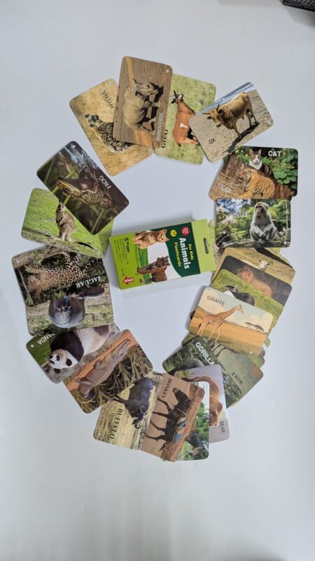 Animal Flash Cards for Kids (Educational Learning Cards)